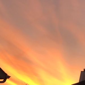 Meet your Posher, Sofia